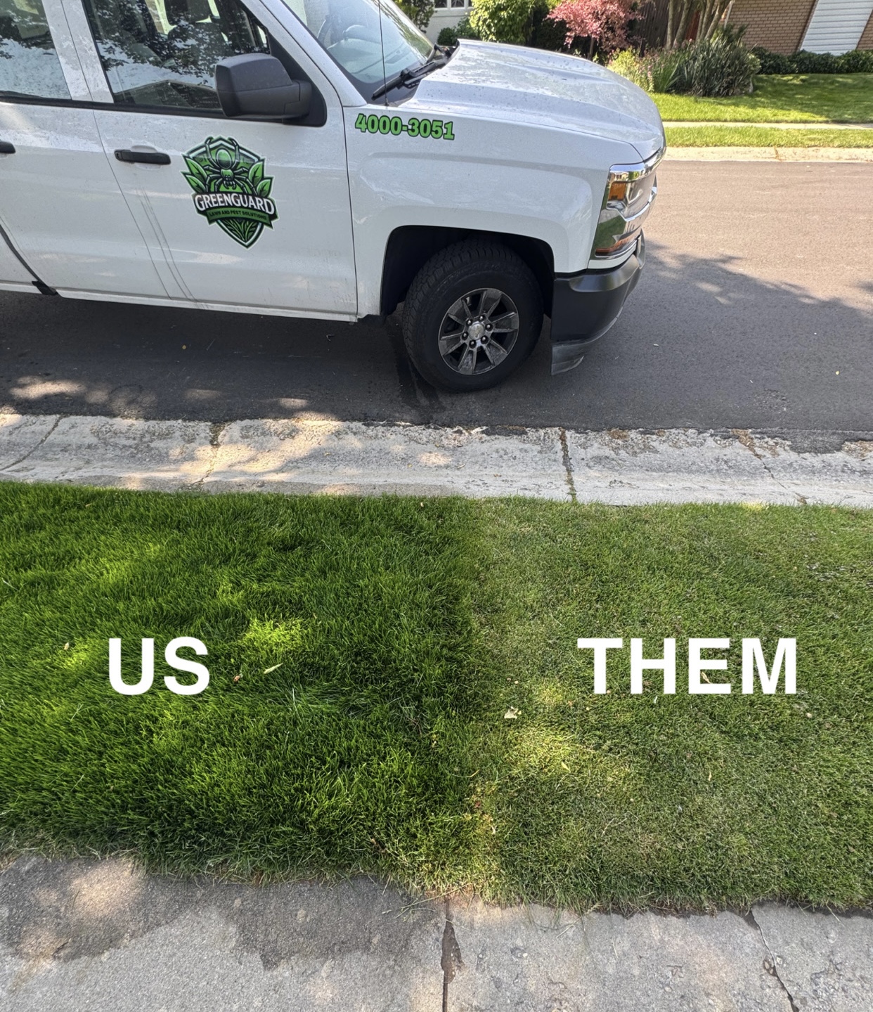 Side-by-side comparison of a GreenGuard-treated lawn next to an untreated neighboring lawn